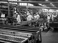 workers