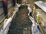 Clean-up: Waste Pits-10